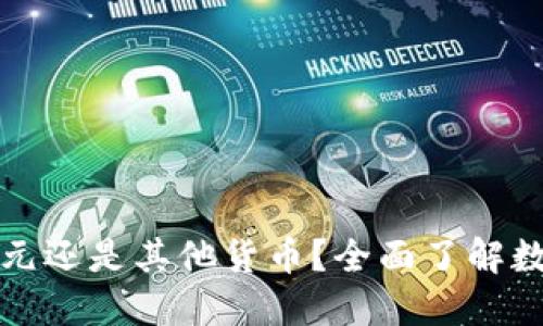 TP钱包显示的数字是美元还是其他货币？全面了解数字钱包的货币显示方式